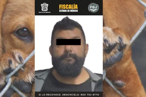 Mató al perrito de su exnovia "para que se le quite"